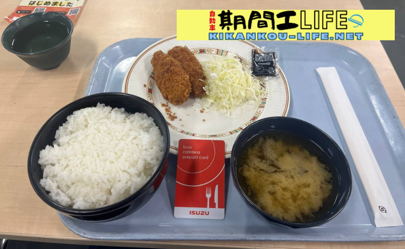 chicken-fillet